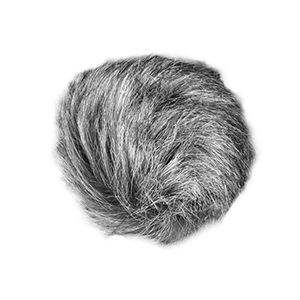 Zoom WSU-1